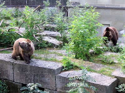 Bear Pit