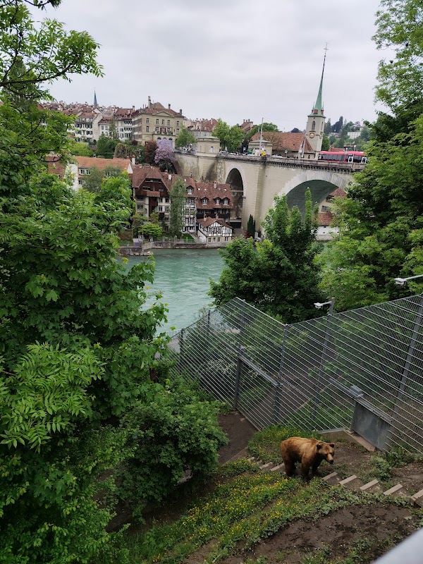 Bear Pit 3