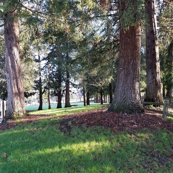 Cuesta Park 4