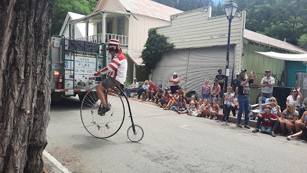 Downieville 5