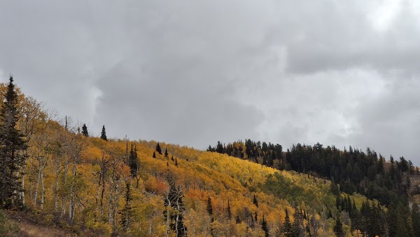 Guardsman Pass 1