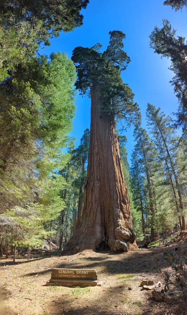 General Grant Grove