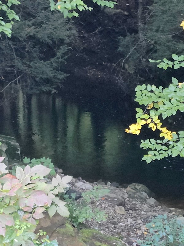 Litchfield County