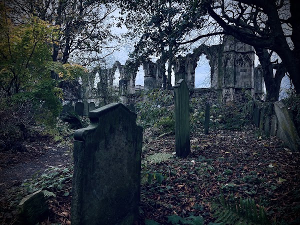 St Mary's Abbey 2