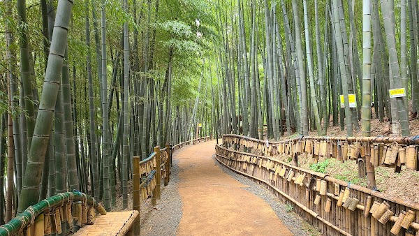 Geoje Maengjongjuk Theme Park 1