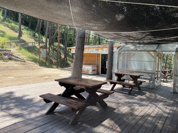 Geoje Maengjongjuk Theme Park 5