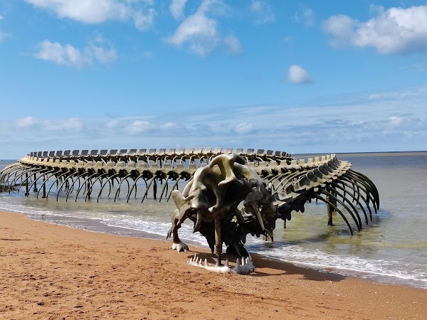 Serpent d’Océan 1
