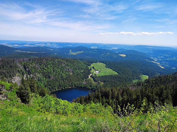 Black Forest 5
