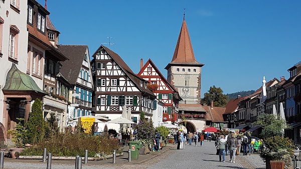 Black Forest 4