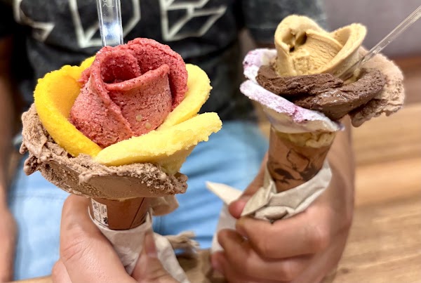 Amorino Gelato River Oaks District 4