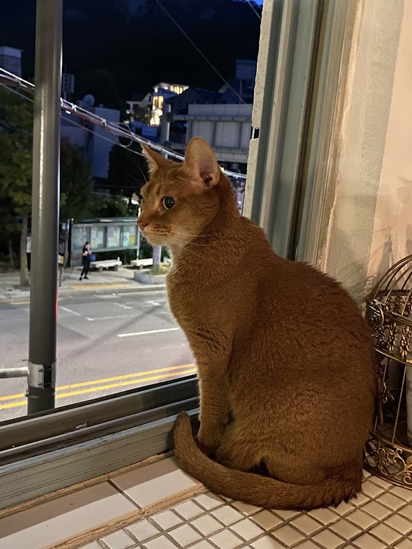 제비꽃다방 2