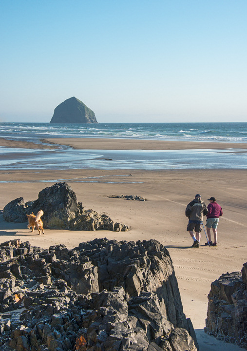 McPhillips Beach - Vehicle Beach Access