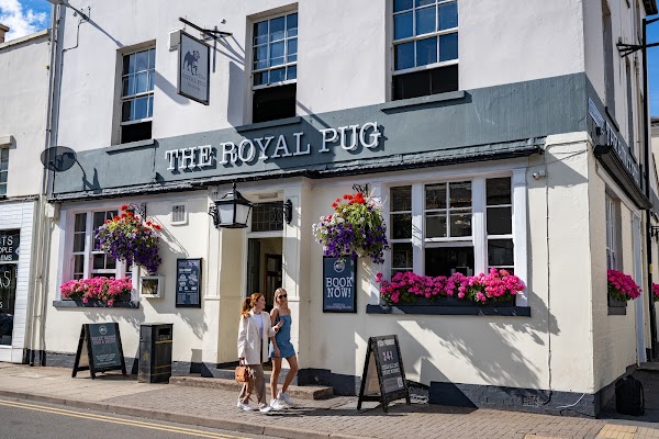 The Royal Pug 1
