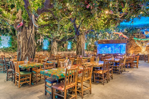 Rainforest Cafe 1