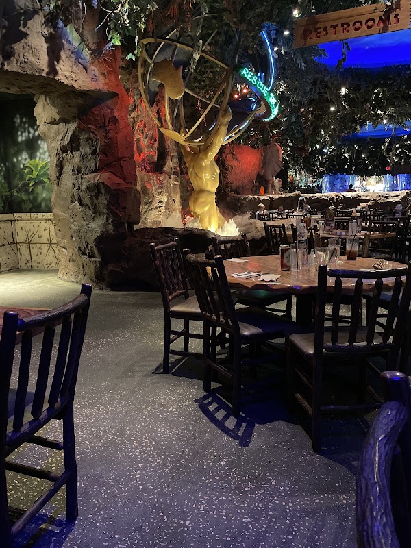 Rainforest Cafe 5