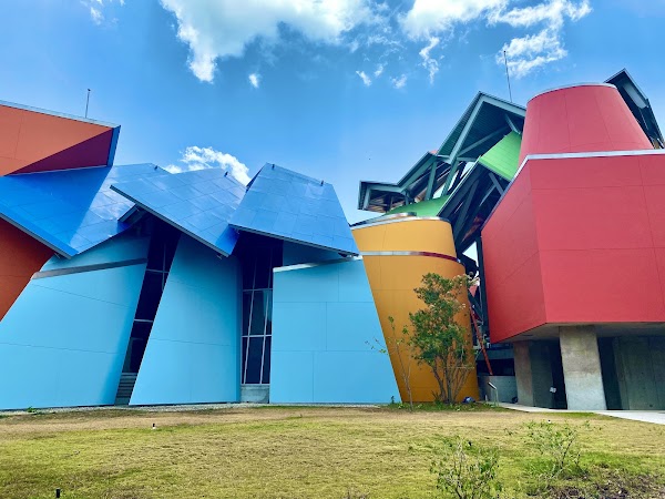 Biomuseo 5