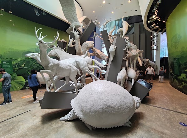 Biomuseo 3