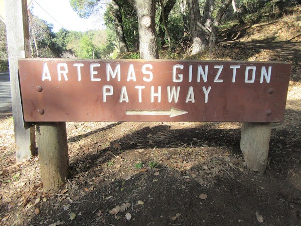 Artemas Ginzton Pathway 5