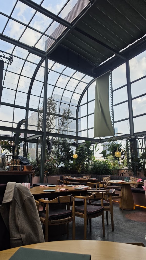 Pandora Roof Top 5
