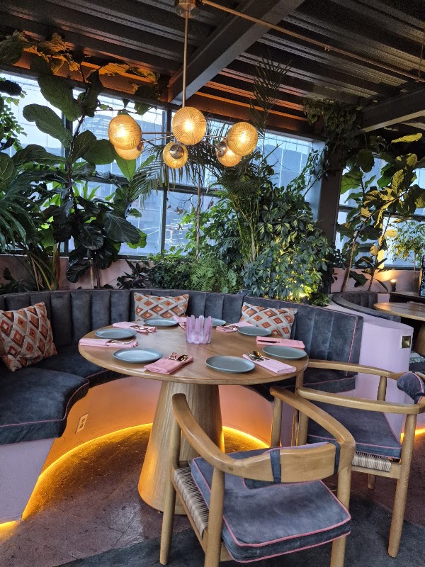 Pandora Roof Top 2