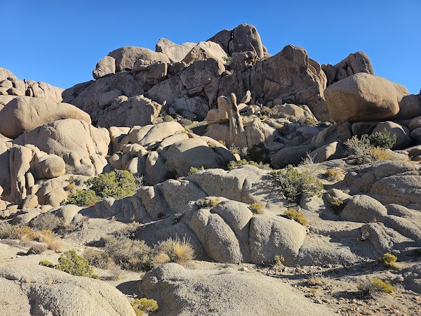 Joshua Tree National Park Visitor Center