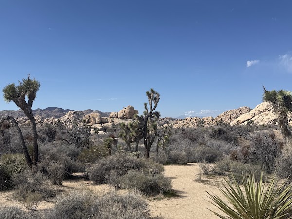Joshua Tree National Park Visitor Center 5