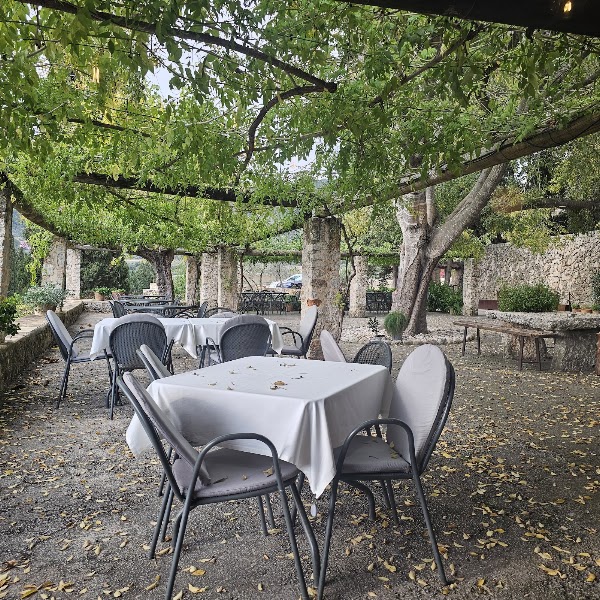 Ses Coves. Cafè & Grill 3