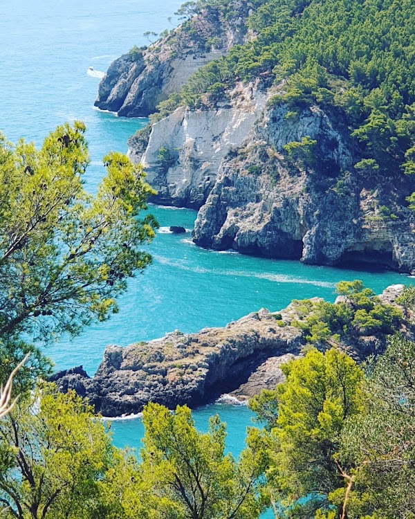Portogreco