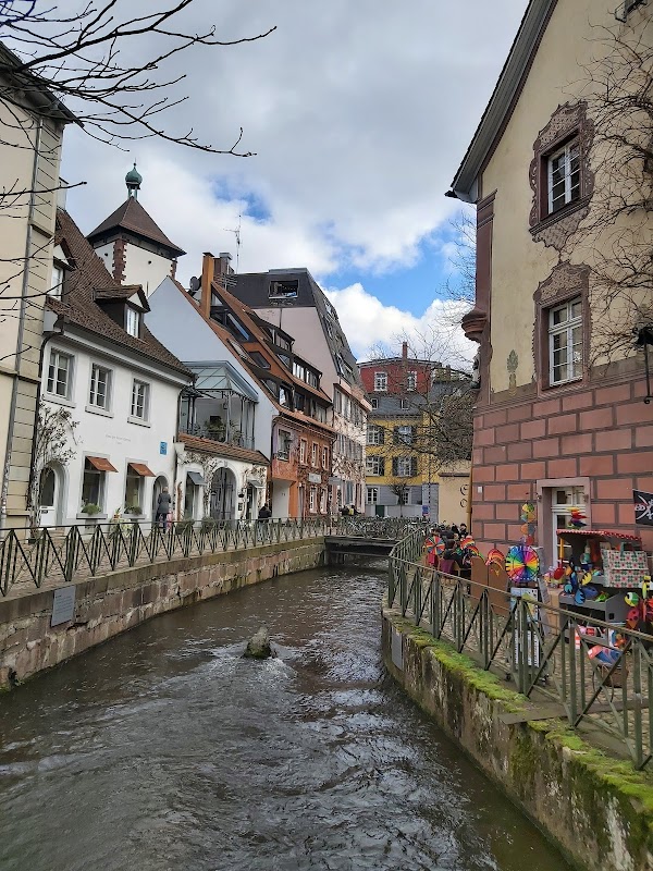 Freiburger Bächle 5