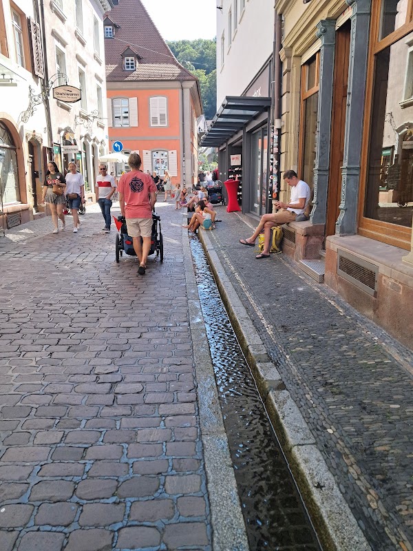 Freiburger Bächle 4