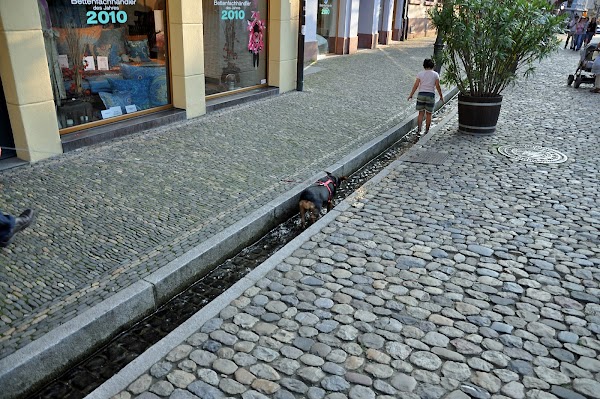 Freiburger Bächle 2