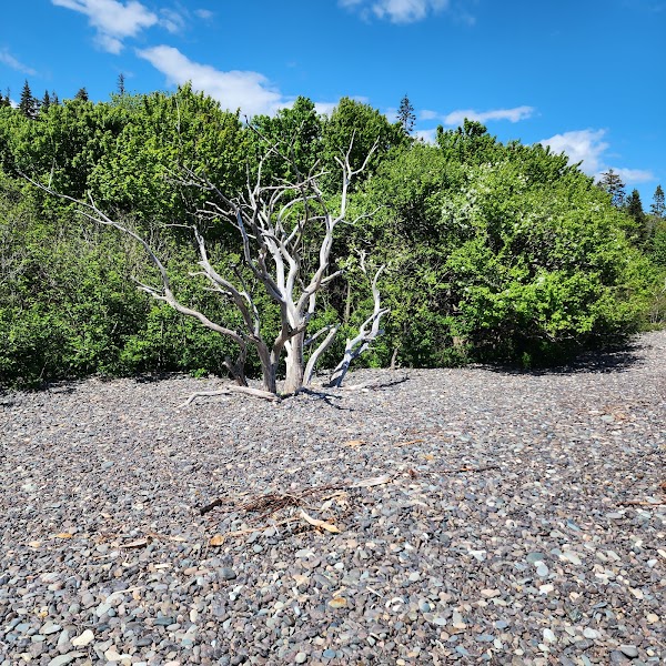 Jasper Beach 5