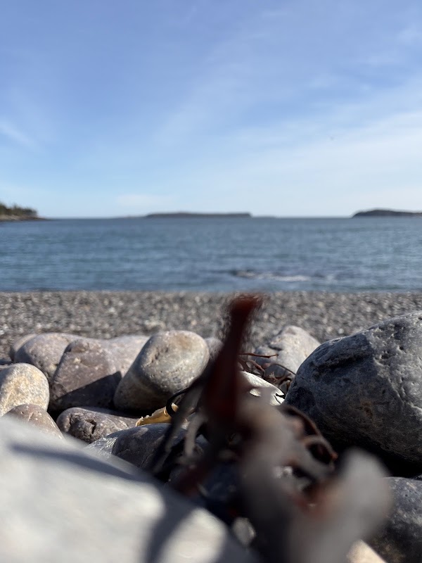 Jasper Beach 3