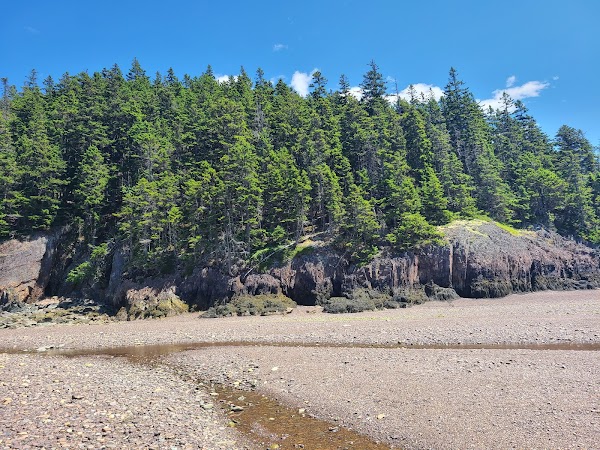 Jasper Beach 2