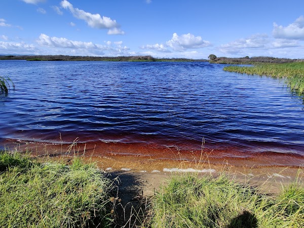 Rotopokaka (Coca Cola) Lake 1