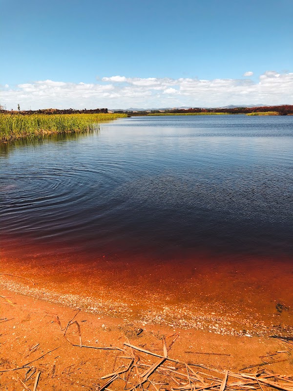 Rotopokaka (Coca Cola) Lake 3