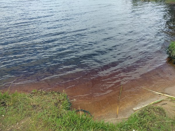 Rotopokaka (Coca Cola) Lake 2