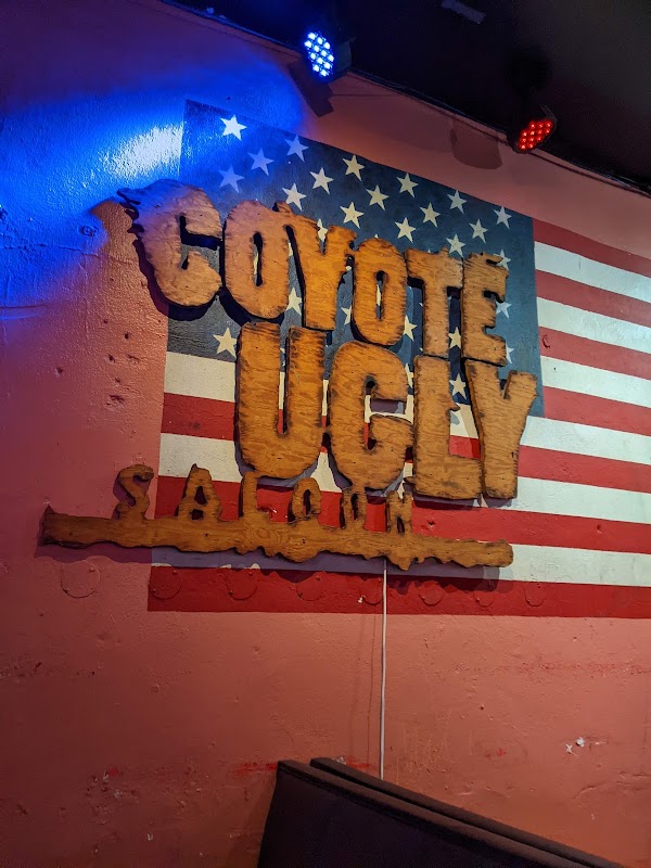 Coyote Ugly Saloon 2