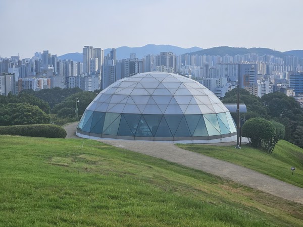 Cherry Blossom 🌸 58