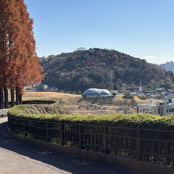 Bokcheon-dong Ancient Tombs 5