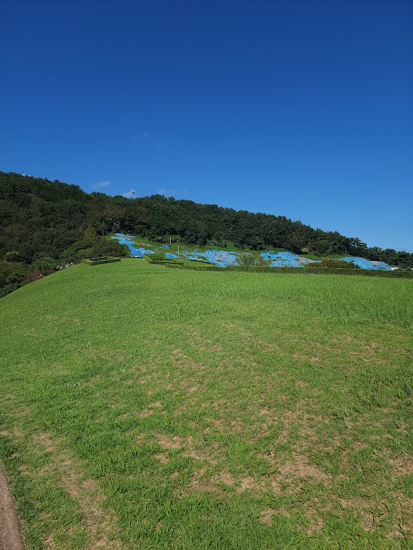 Bokcheon-dong Ancient Tombs 3