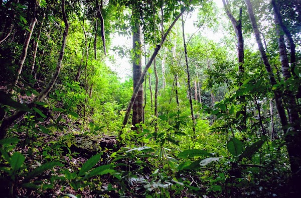 Phu Quoc National Park