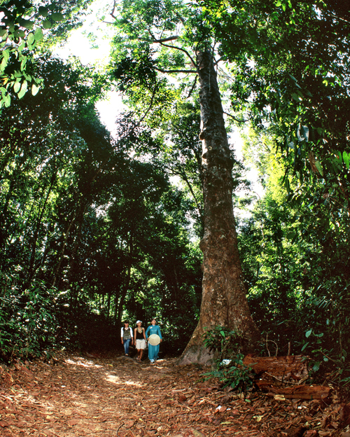 Phu Quoc National Park 2