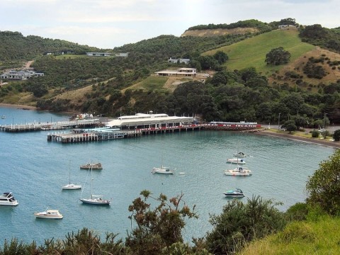 Waiheke Island 3