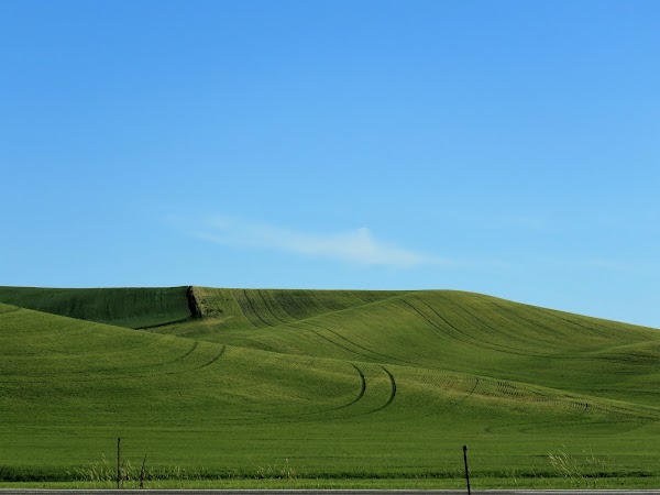 Palouse Range
