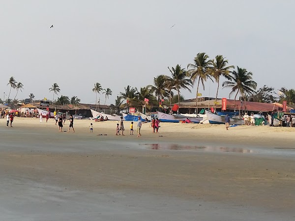 Benaulim Beach 5