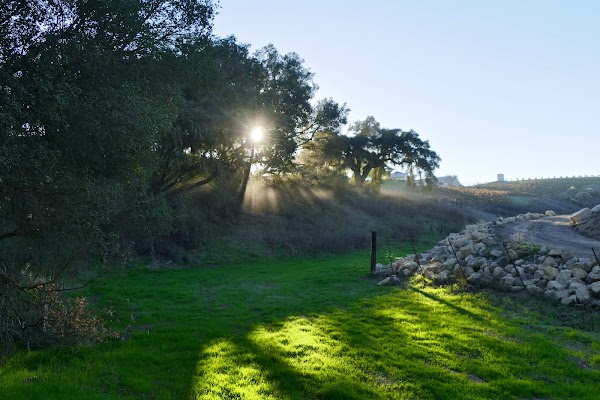 Paso Robles 5
