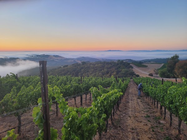 Paso Robles 4