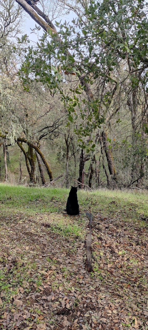 Paso Robles 3