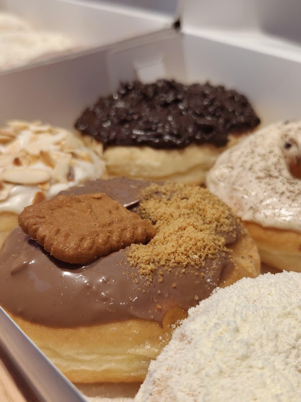 Syn Donut 3